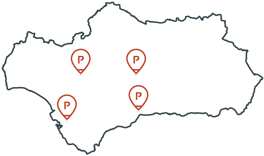 Proyectanda Agencia digital Andaluza - Lucena - Sevilla - Cadiz - Malaga